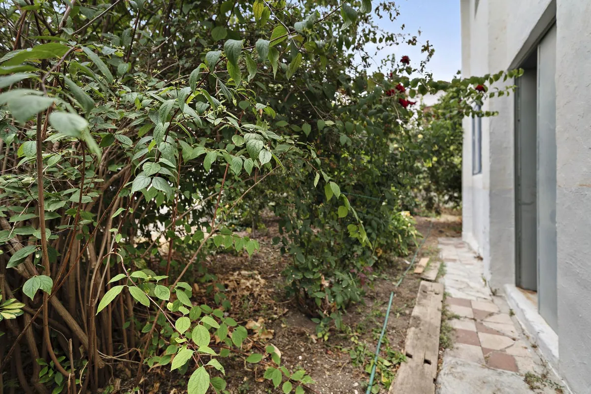 958636a4-cb38-4ad9-a82d-9b8de21dc00e