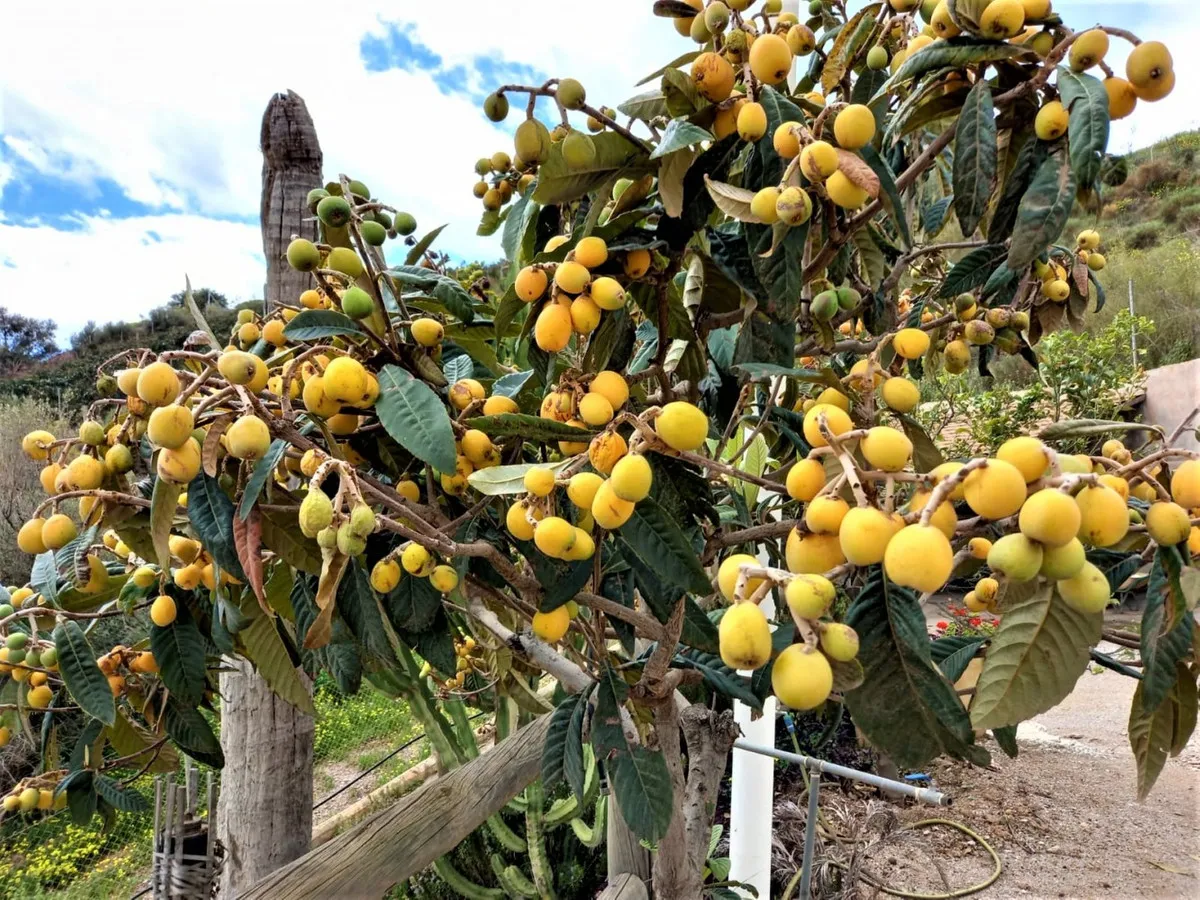 5d821077-48ce-4c07-b716-3cac4697e1b1