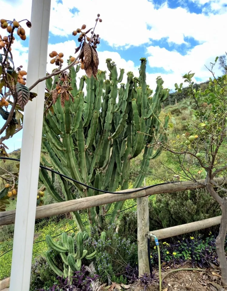 68129b2f-ad23-428e-b610-0cb80e924705