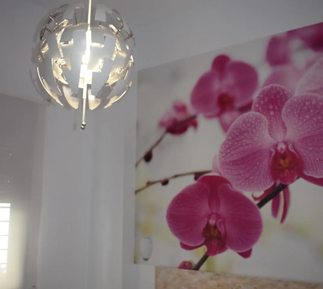 90d72c62-f4ad-4f95-b215-6efa2631e7e9