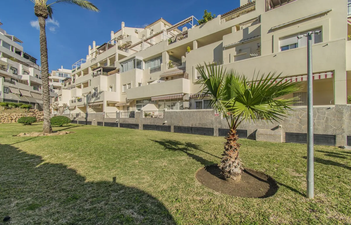 24ec3208-bb4d-4737-aeb7-0f9acf541451