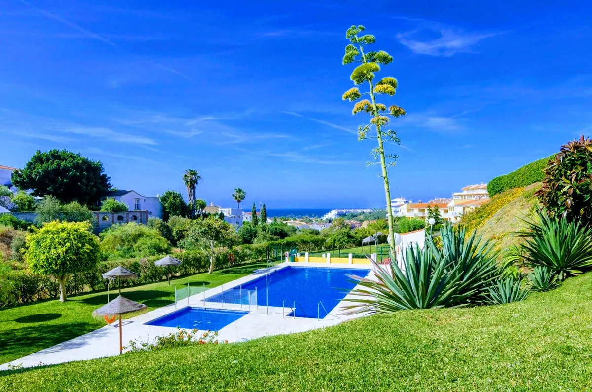 efdaa855-bbc5-4b03-955b-188e8581ee58