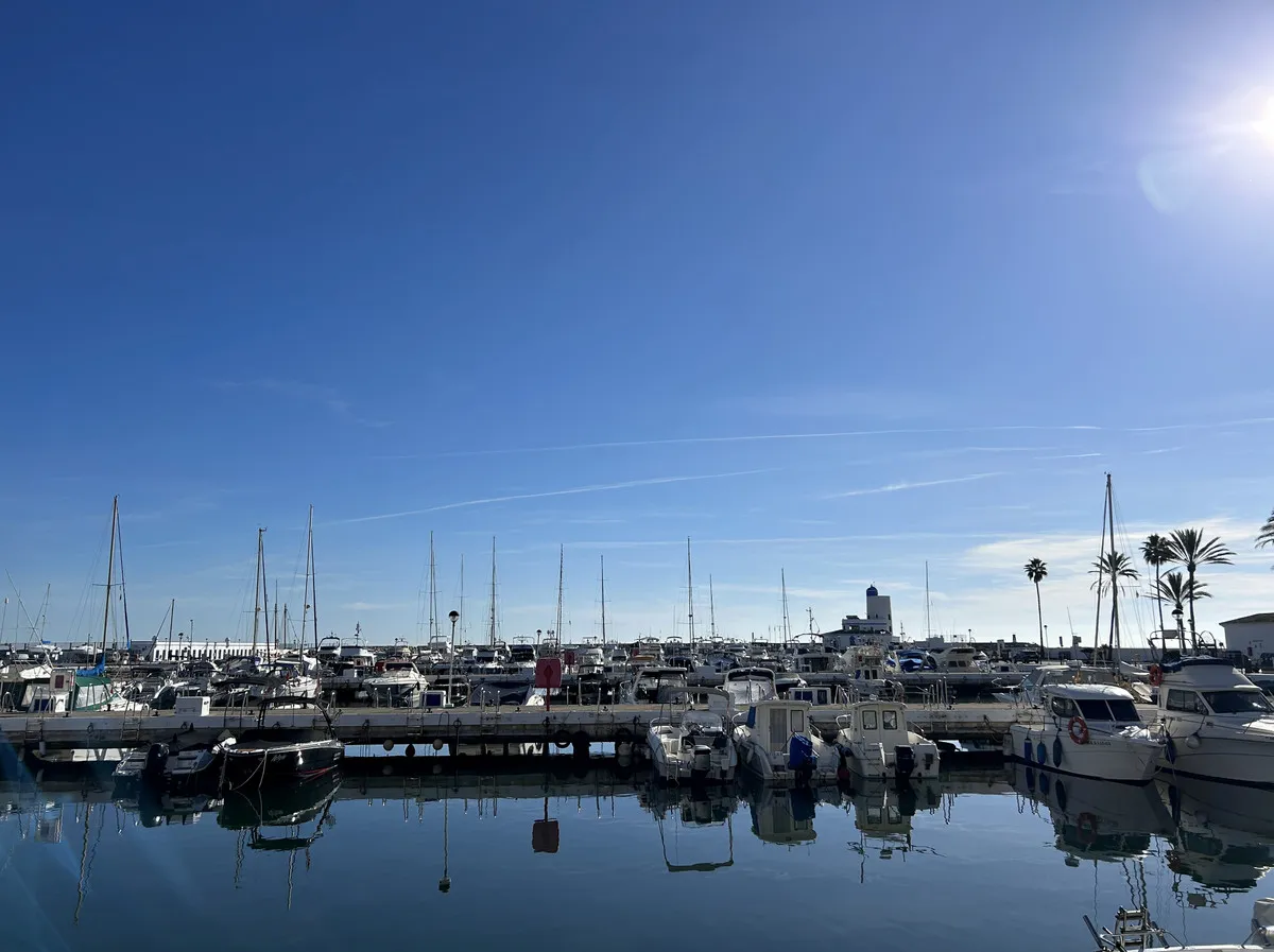 1590d14c-740d-4508-8adc-bc5ab526b903