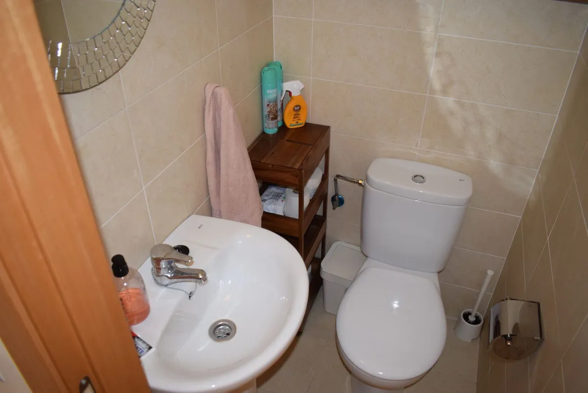 1557061d-2bf7-406a-86e7-ad8cf6a36d8b