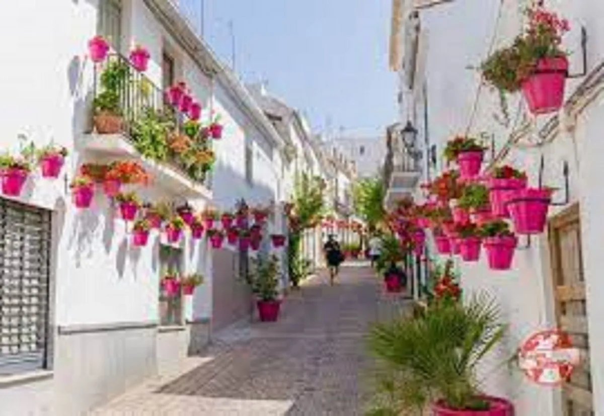 55bbfabc-4dda-474f-92af-92d434906d48