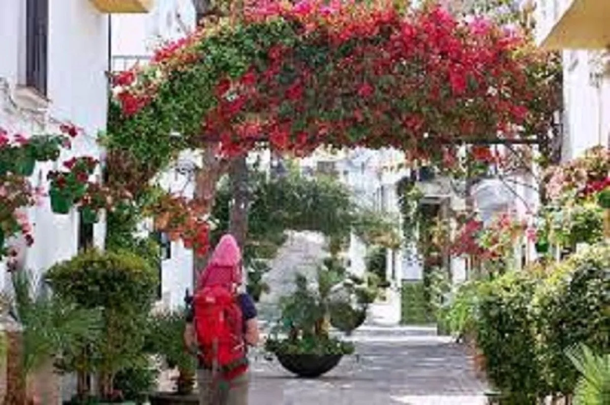 e43d6397-1a14-4274-887e-5da99eda0527