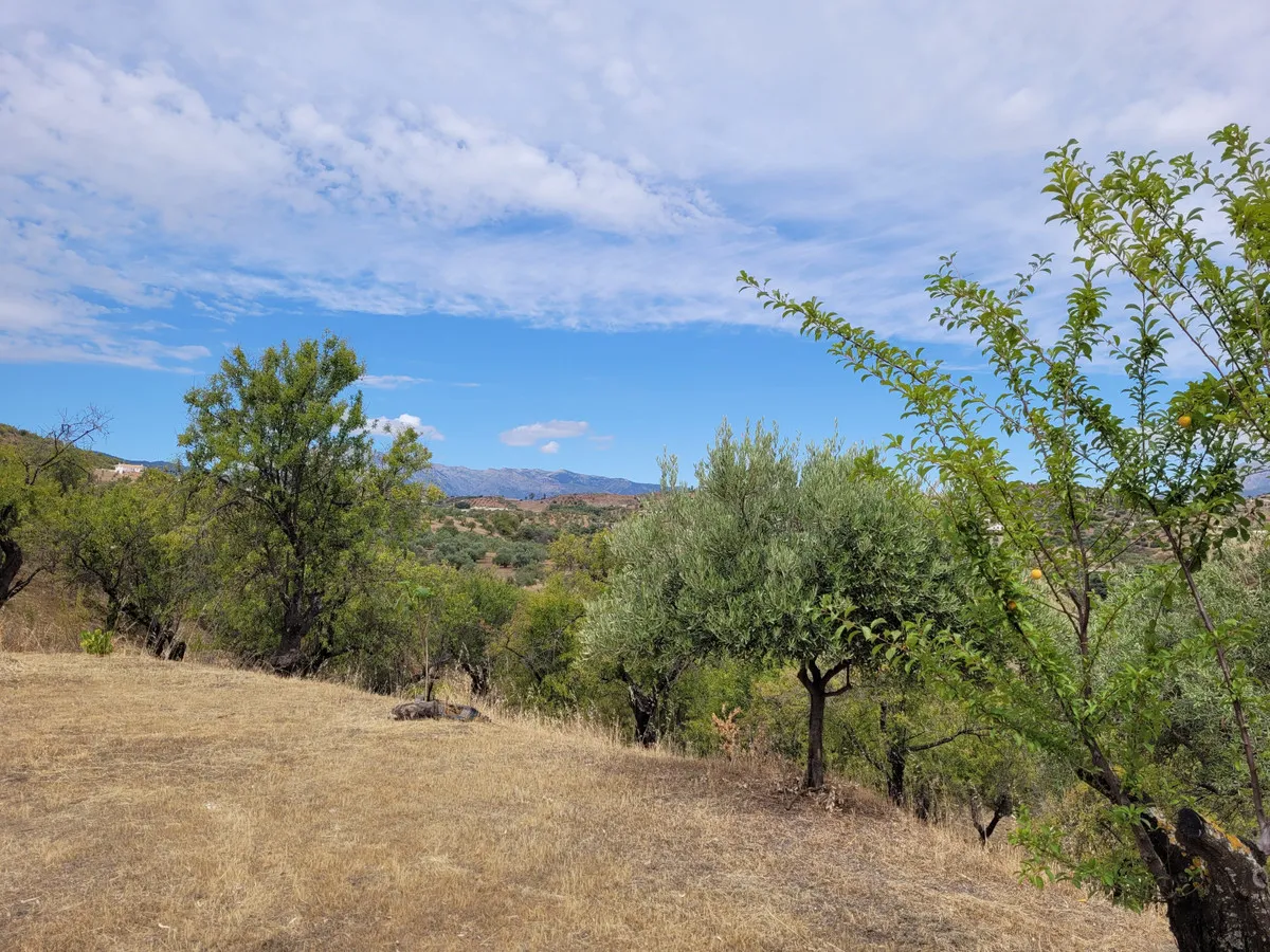 70af8040-45dc-427f-bd3e-5428618aaf6c