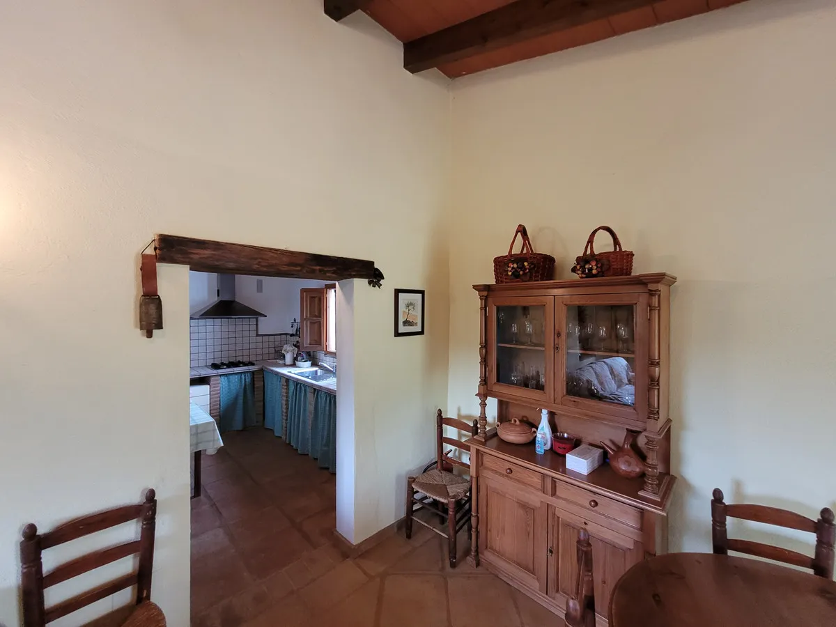 cc5a87d0-84db-4b1e-93b7-f554da629e93