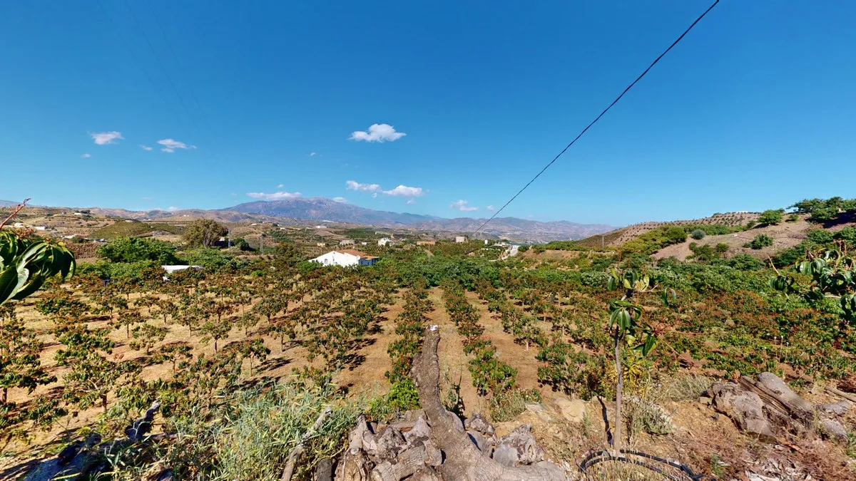 e6ff9fa0-d699-4550-8519-9db222d5f1ba