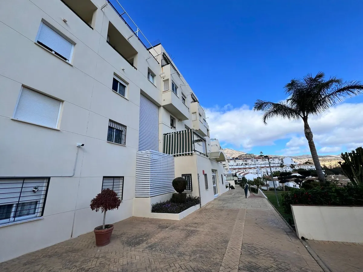 255c169e-5269-4c8a-a954-8781c40bb780