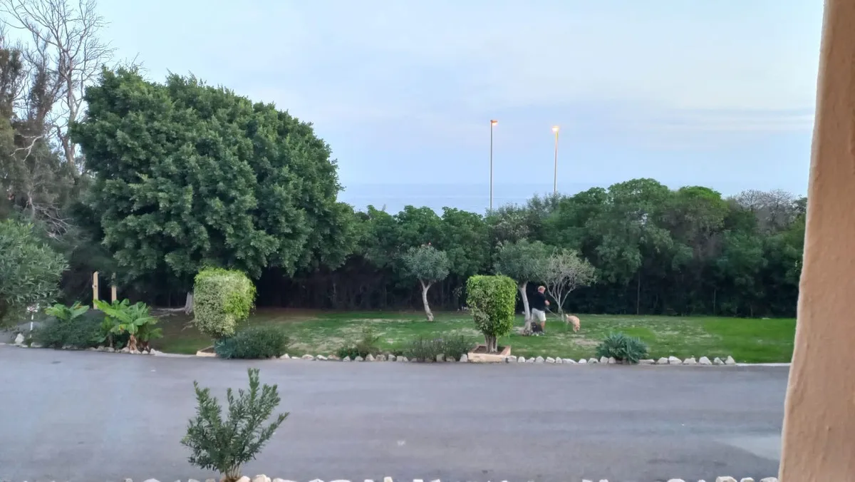 367fe19c-d576-4e8e-a61b-d322962ddecd