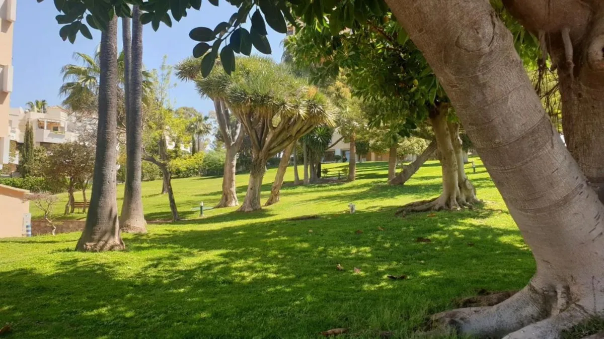 716b1735-e7e5-4eb3-891c-39a7a03afab2