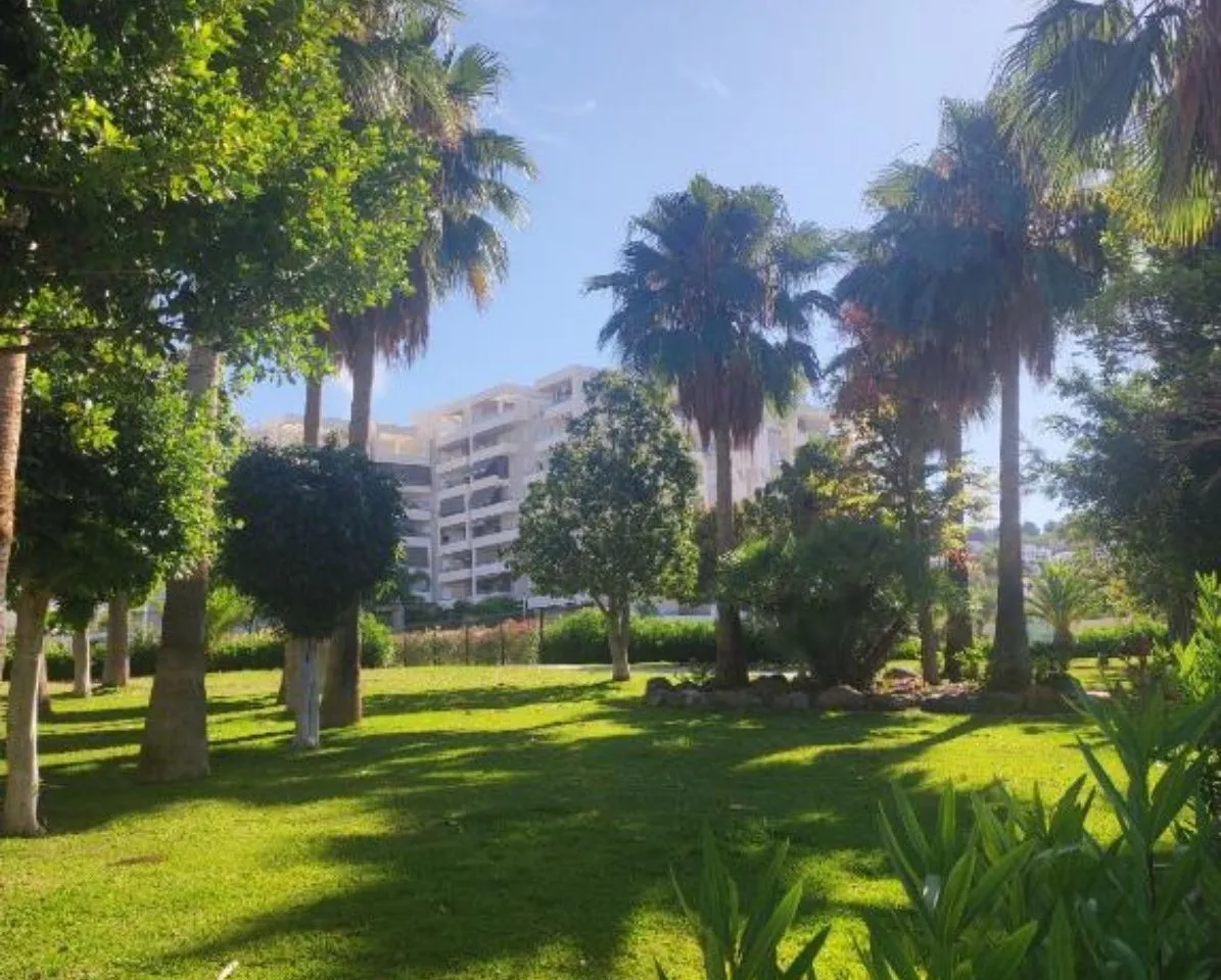 a83a6b68-000c-482d-97e8-865085402f25