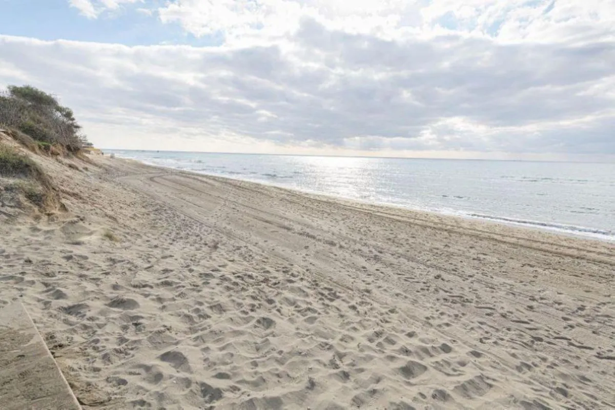 de8e5493-40be-4d67-9420-88408fa6d34b