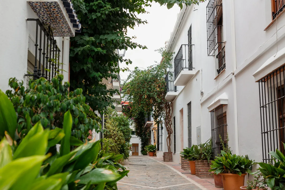 55d81264-8c7a-4d70-9bbb-3e3ef3c6c277