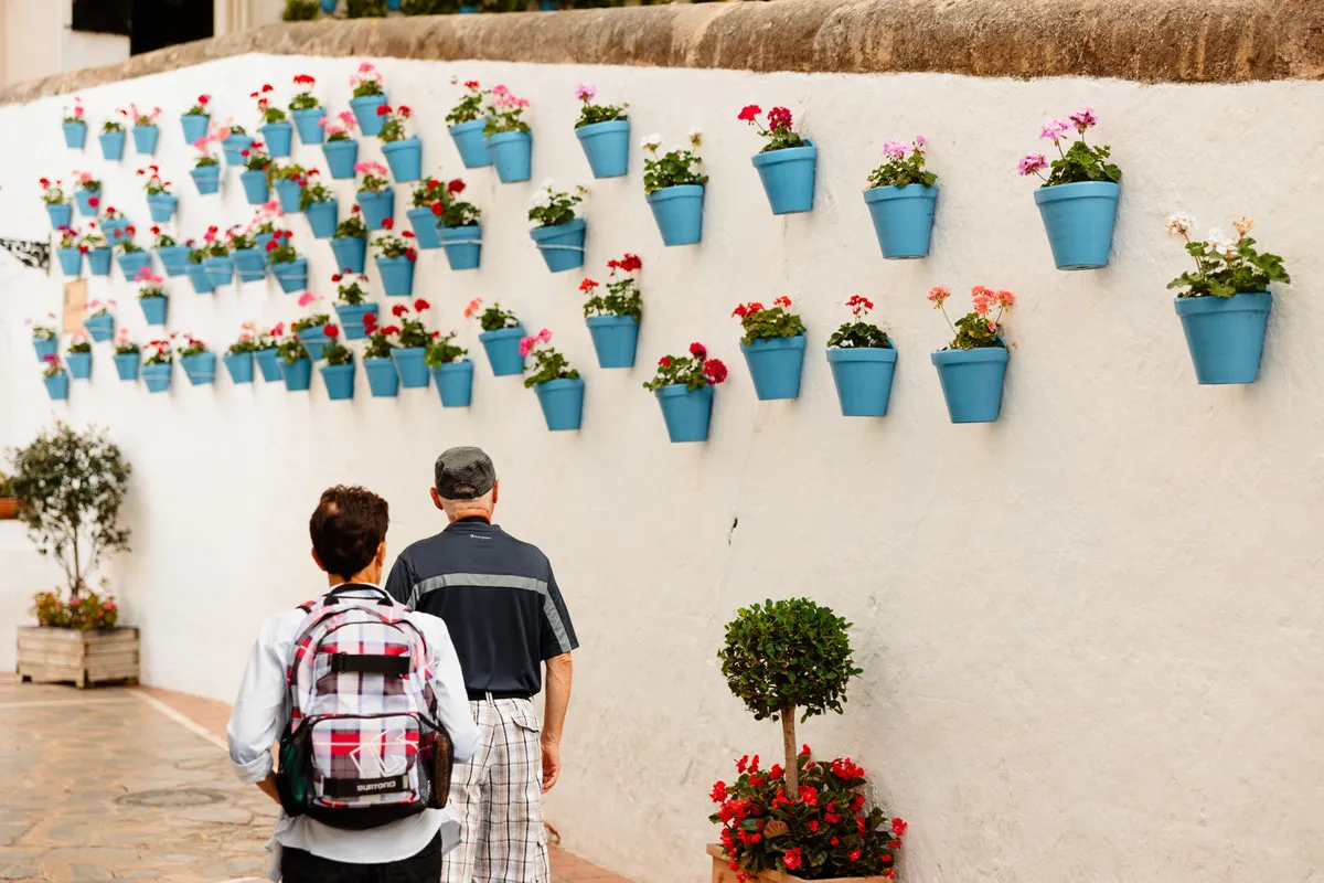 780e0e2d-0c77-4e69-b215-ecd47a9a665a