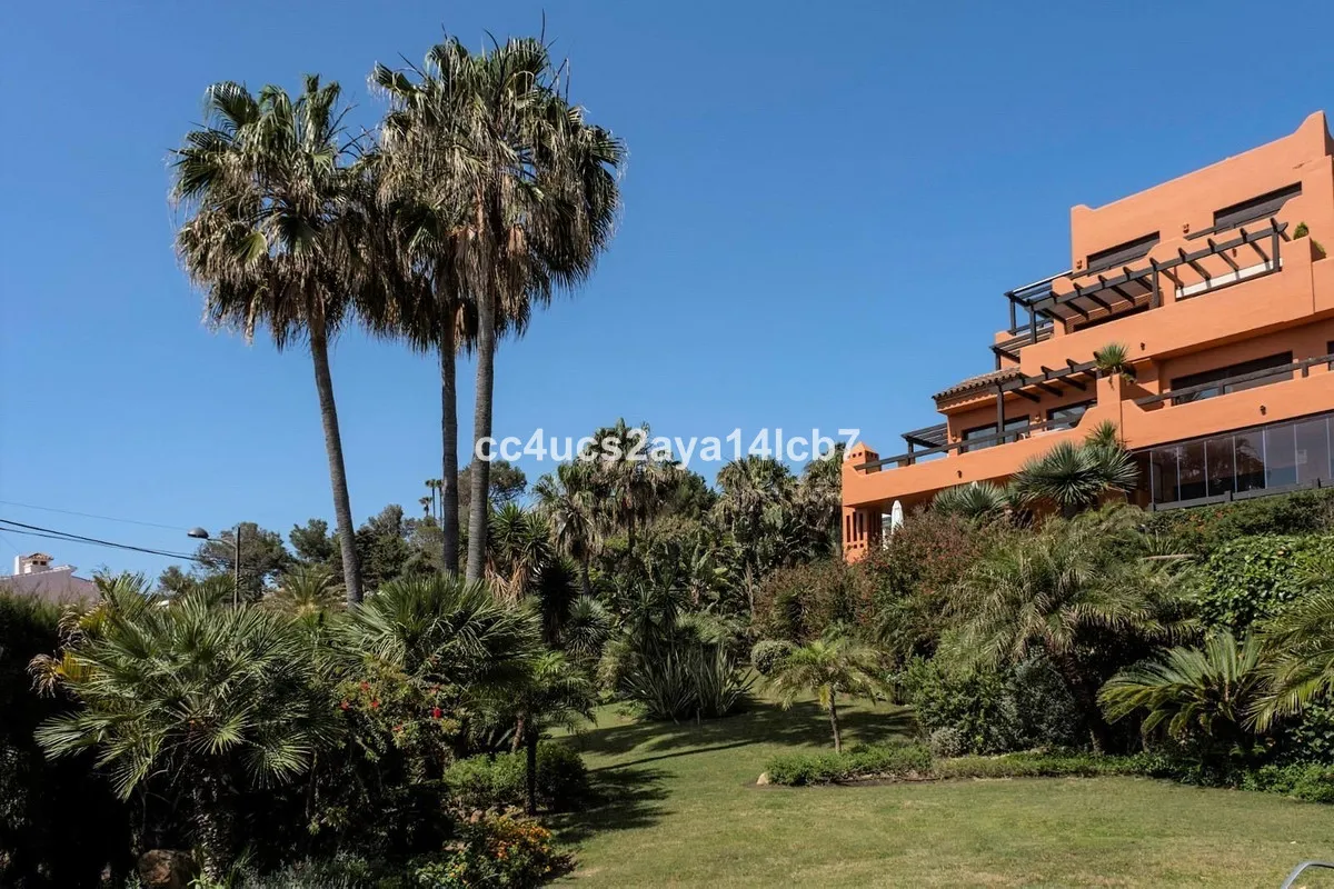 34072d25-0b0d-4e25-8626-e4099e00665e