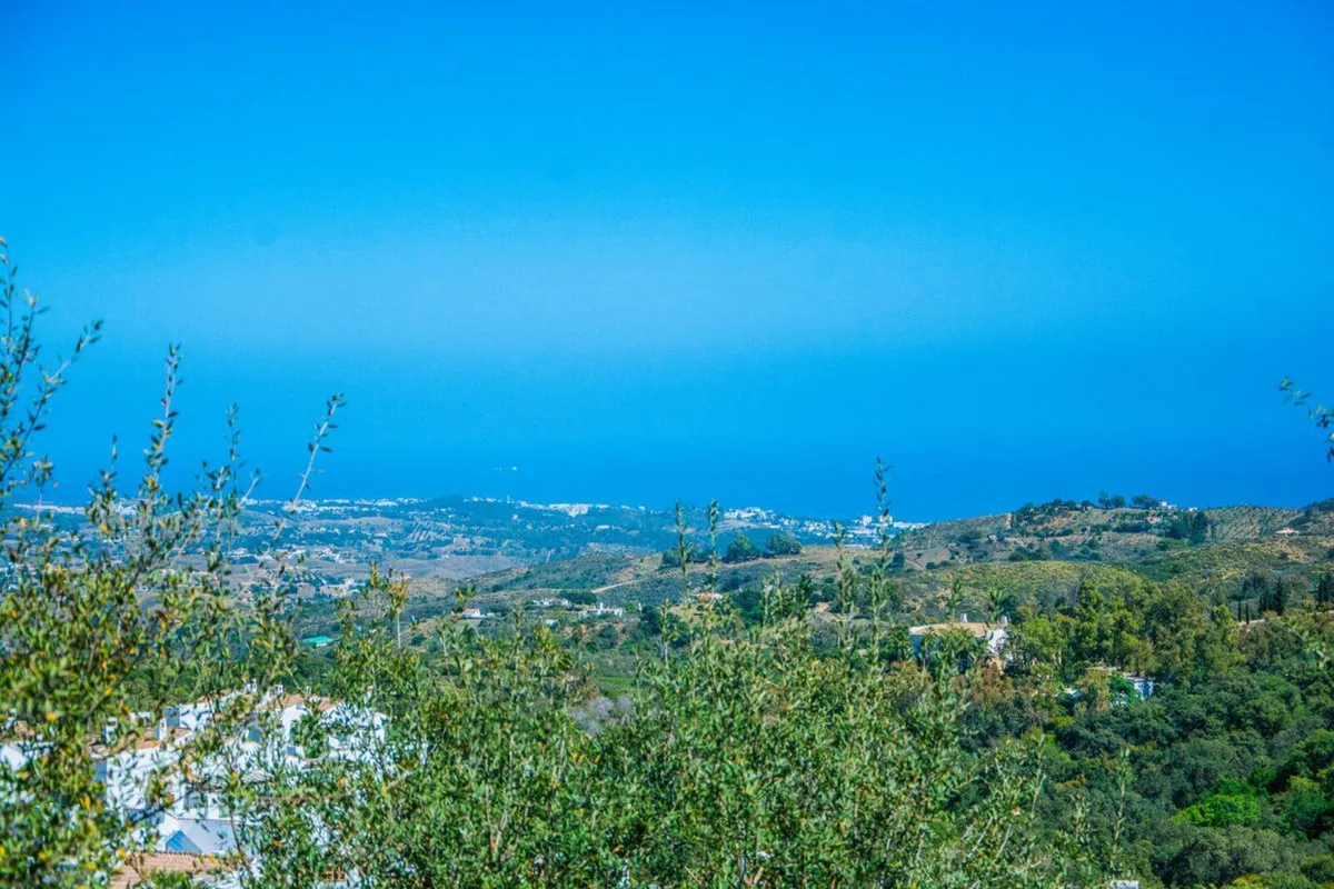 1c9c45a7-fdec-4fde-ac22-8d7068d2a079