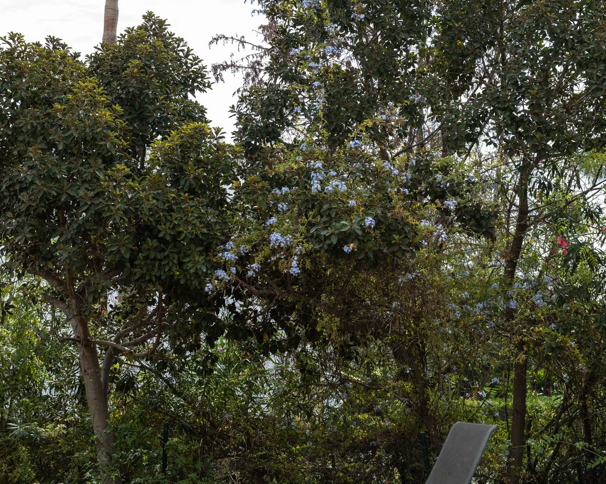 367035f7-8498-4f9f-9c4d-840d36308d37