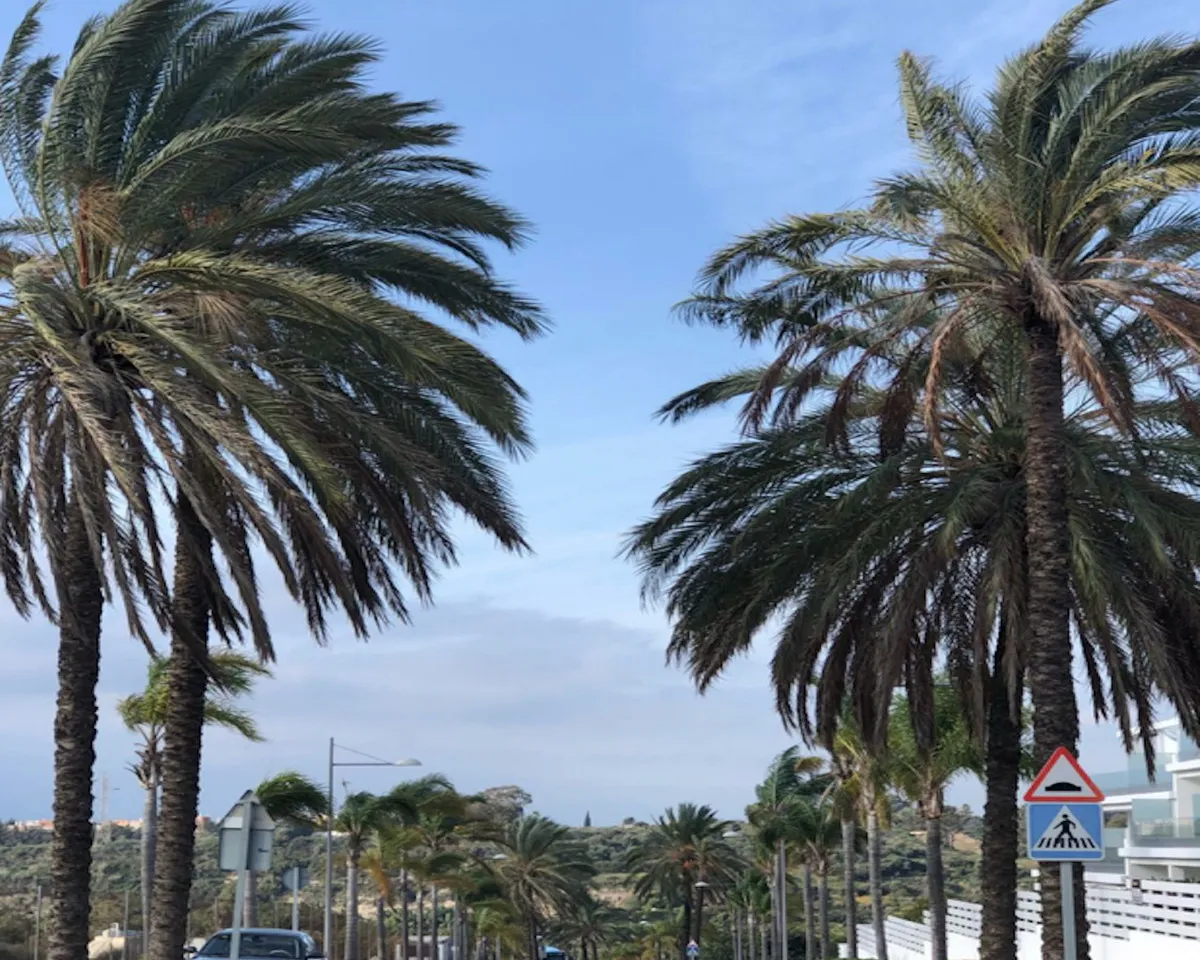 b856c094-67ed-442a-b8ef-51d33bde530c