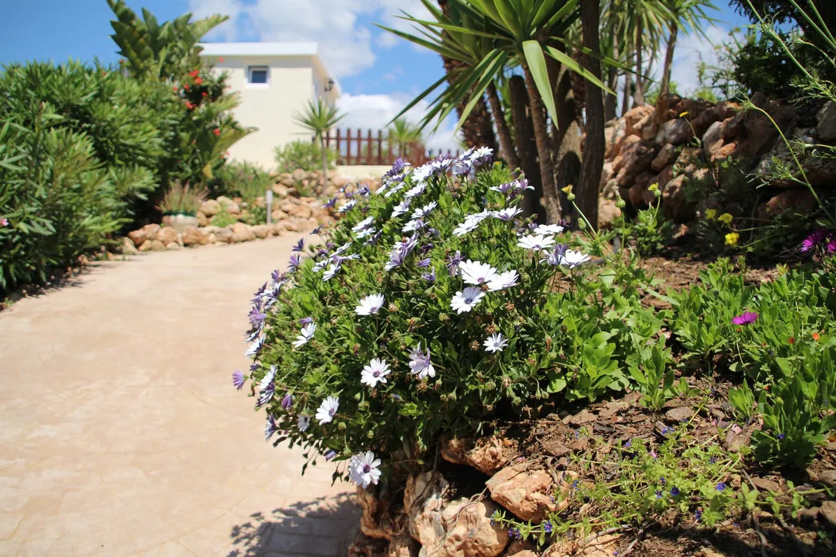 71c84628-c45d-46bb-a0a7-b2e29430e005