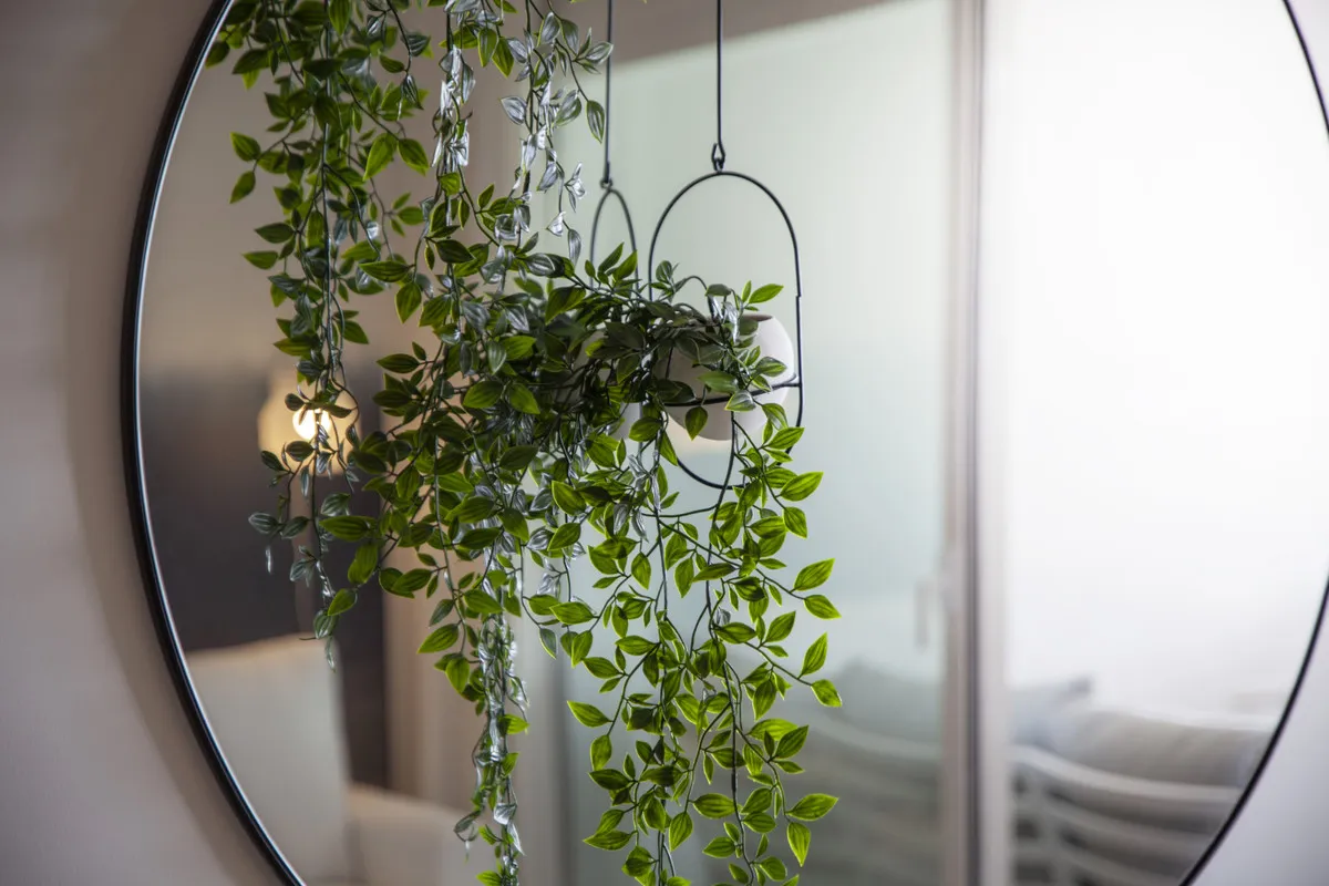 90d4685d-cf42-4cd4-8a2a-4a1f5d803021