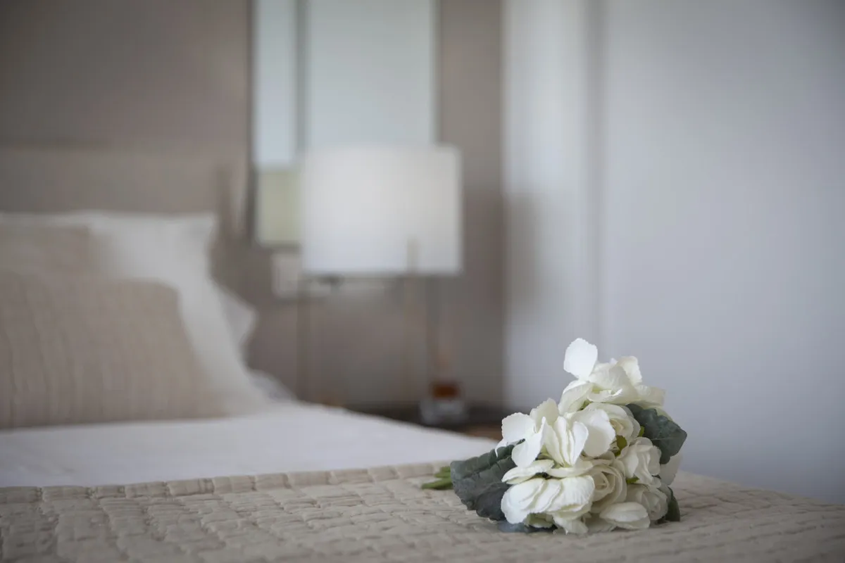 bae2939e-d664-41ae-8c54-14d4b70d972d