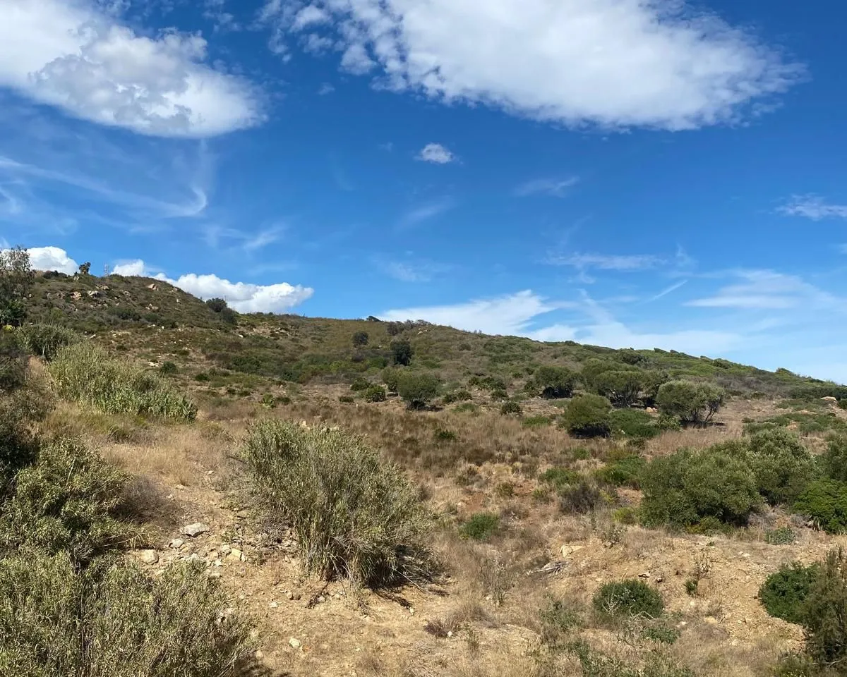 400a104b-c8ff-4e3d-881d-0fc774d63d6c