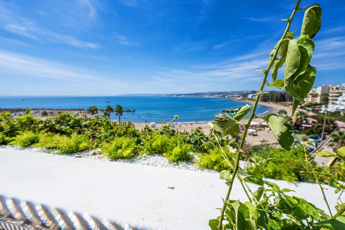 a81a29cb-a2cd-4c63-84fd-690b9a8d7f67