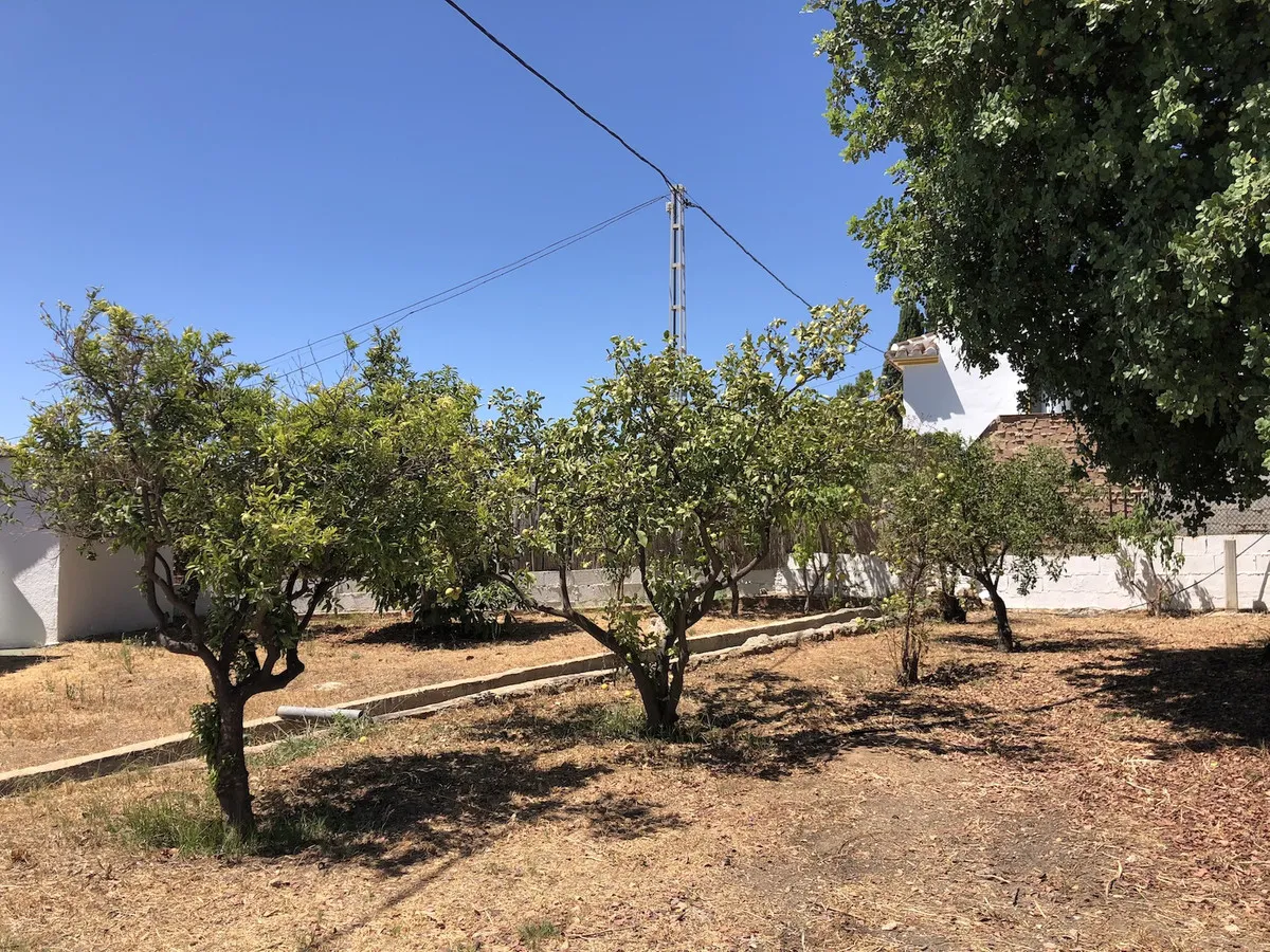 2696321e-3f4c-446a-aa3f-97d30ec88614