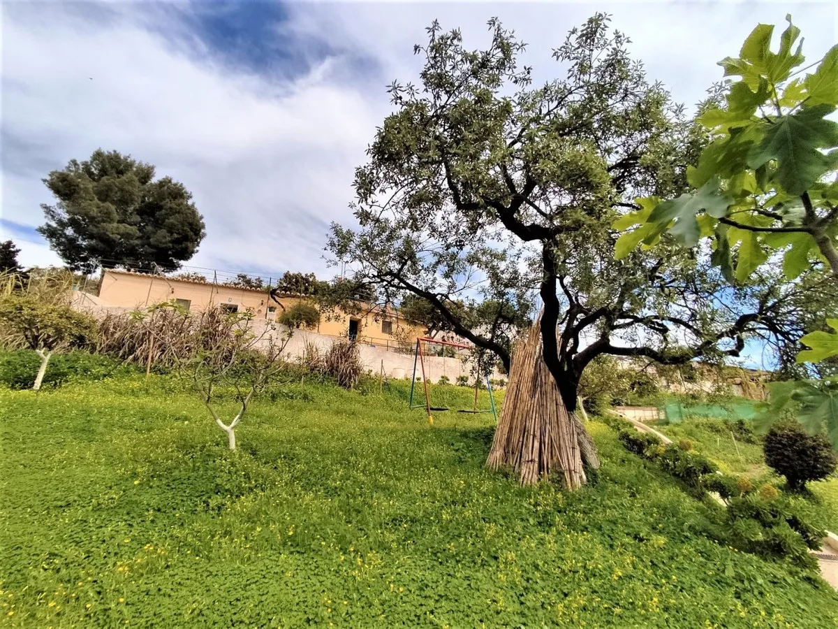 1d8f3be5-8481-44c7-8bd7-81aa33fd65a8