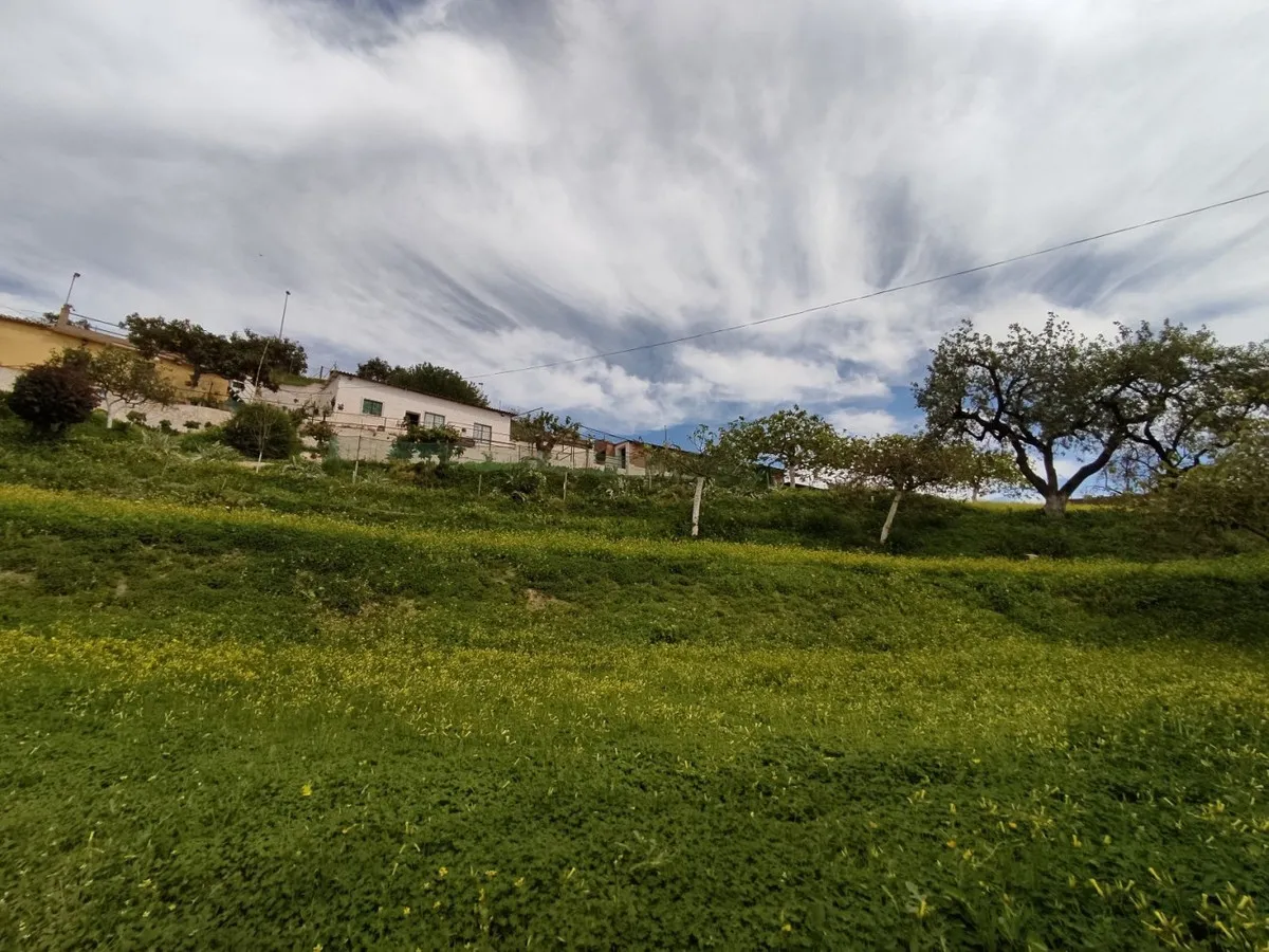 4db6dbe8-9f94-406b-880c-b2f479bc61e8