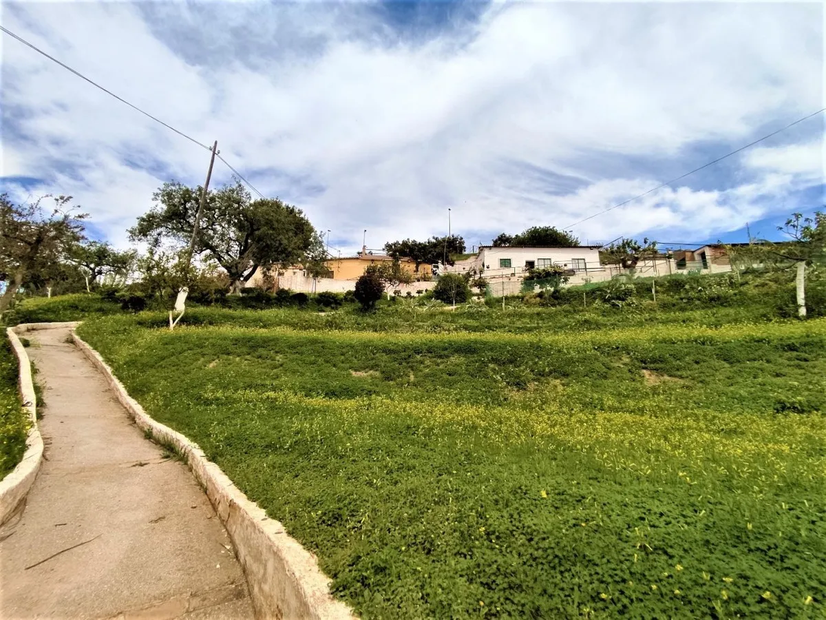 87687f44-7700-460c-a583-0914421a4964