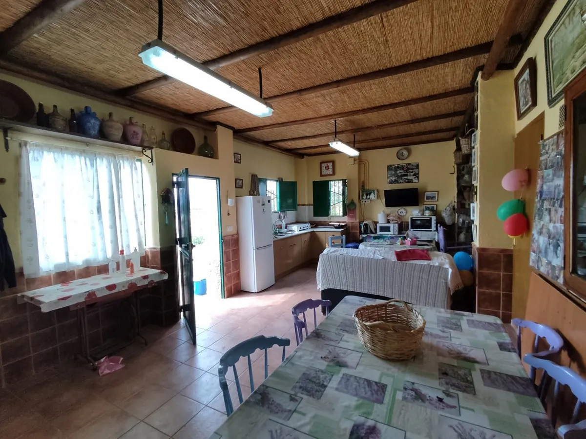 90e0d81b-ff90-4dfe-9365-bf36a6ee794a