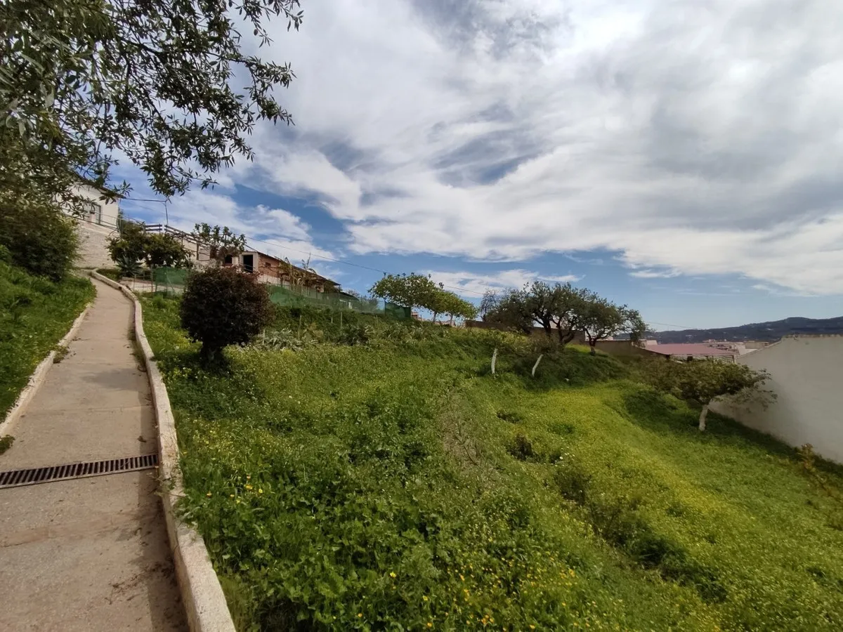 f1c0486e-83ea-40c4-b888-1048942c3805