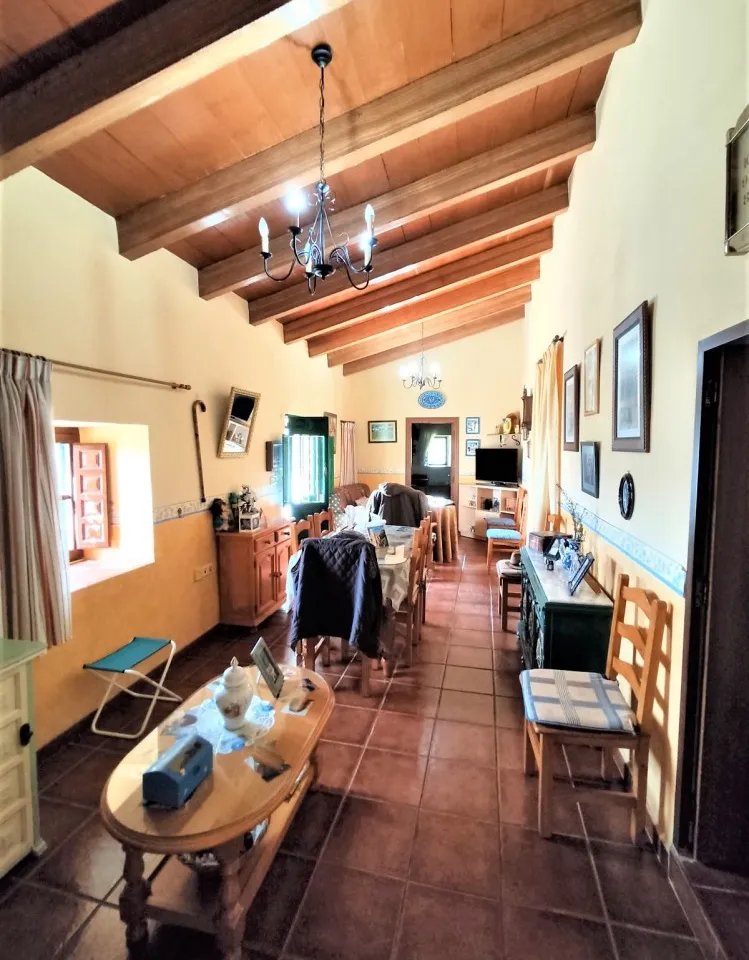 f1d124f0-9ea7-4a36-9266-ac99b4864cdd