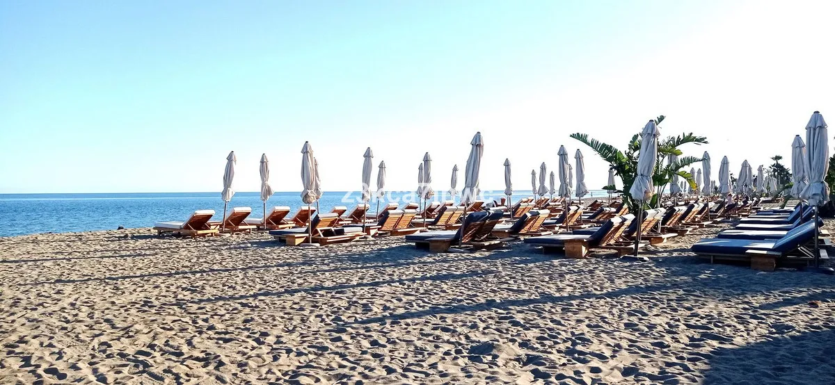 cbe03303-8883-4768-bd10-90bc38bd82de