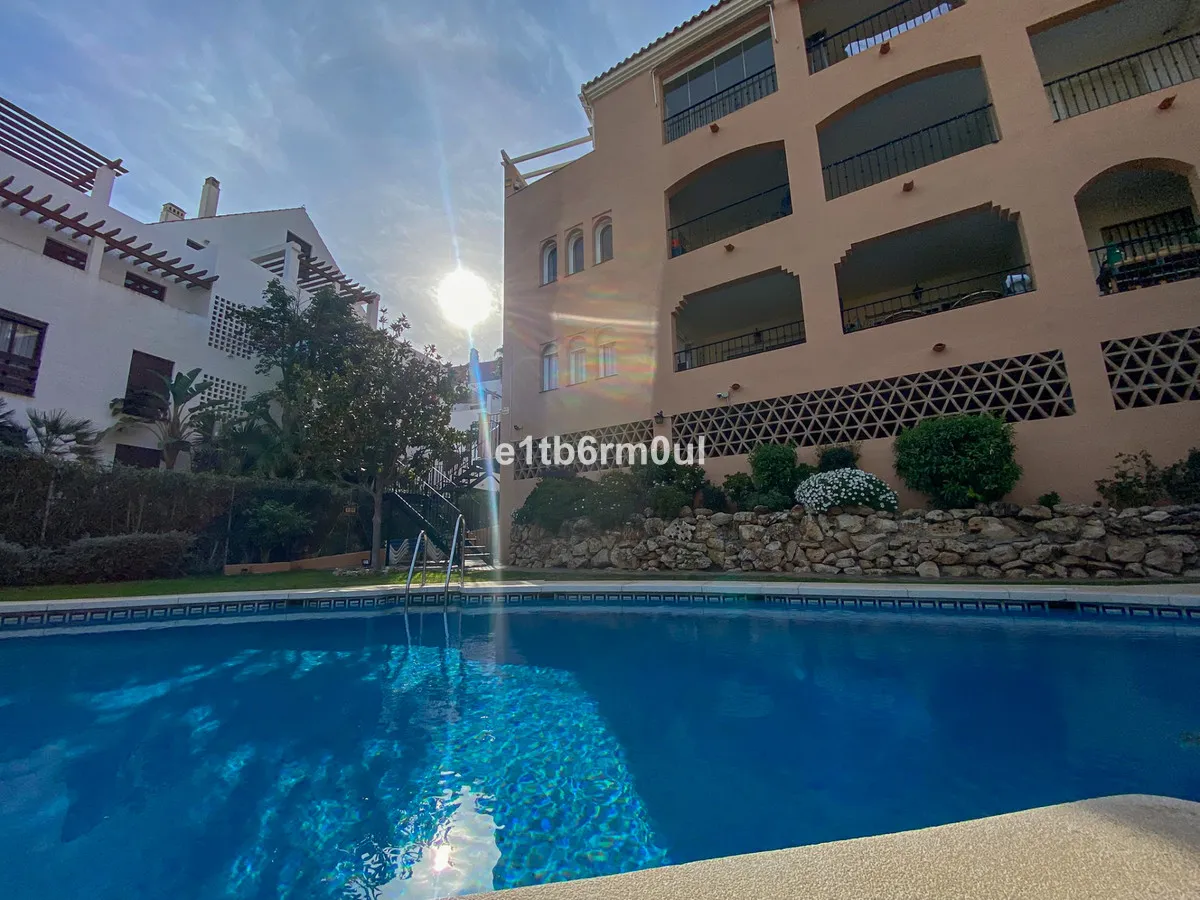 d1d02035-da8e-4e82-8feb-2d4a945913bc