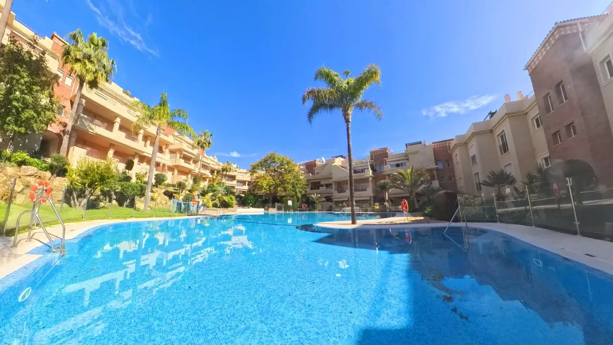 66a2b4b9-c399-4612-8f48-b95f2fe67949