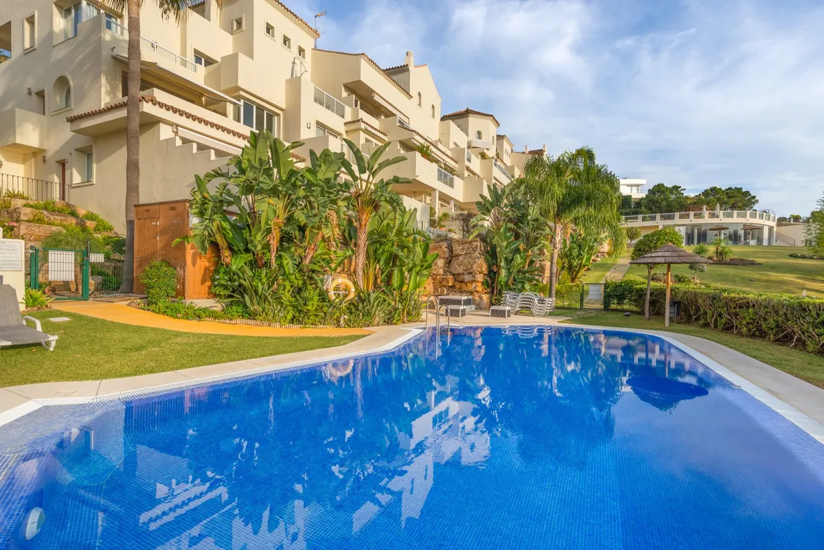 c3e51c5f-04d1-463c-b3b9-7176bb611983