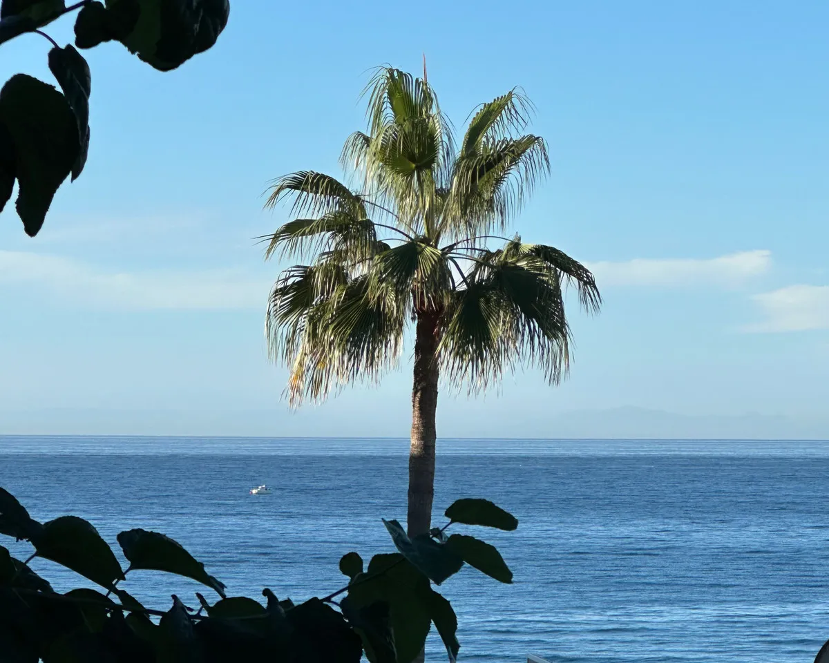 98d0c1d2-abdb-40ec-acf4-464511a242ae