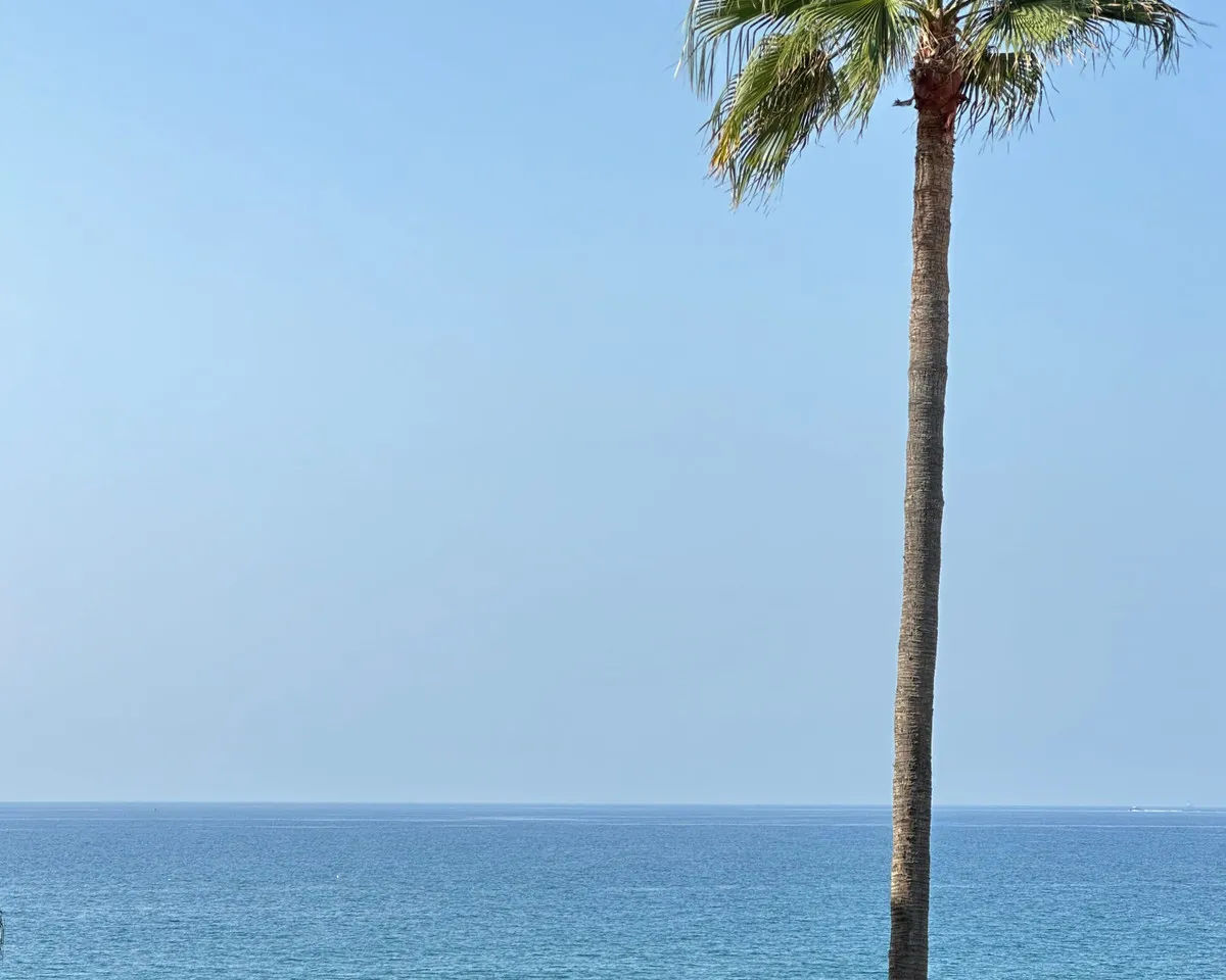 b2ee81f5-639d-41f1-80db-e9d448e8fddf