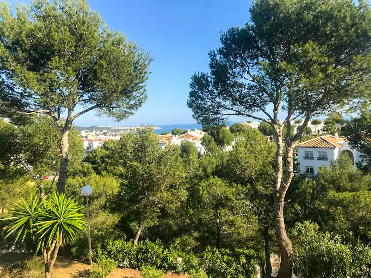 ed33095d-cf5c-47e8-8795-ae3fb4121067