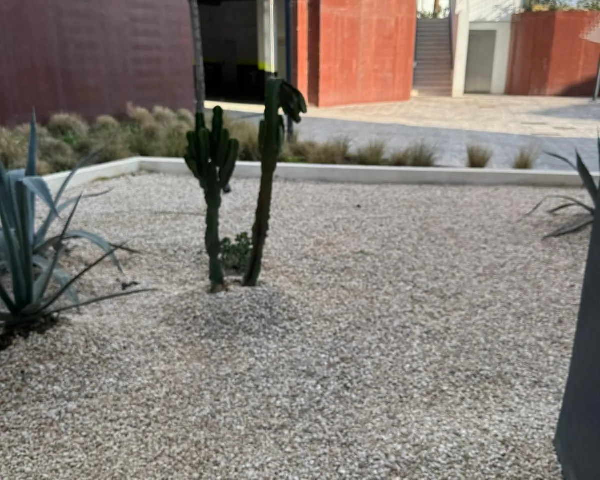 db13e5cc-f8be-4225-bc86-28f8a3740bd3