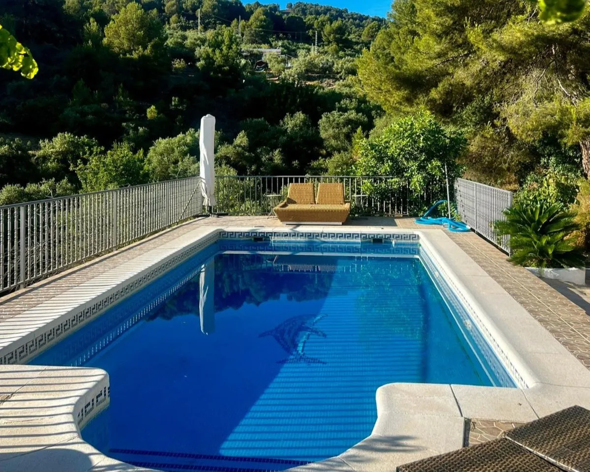 cf7ce847-862e-44a7-bc1d-c9da2e0f6178