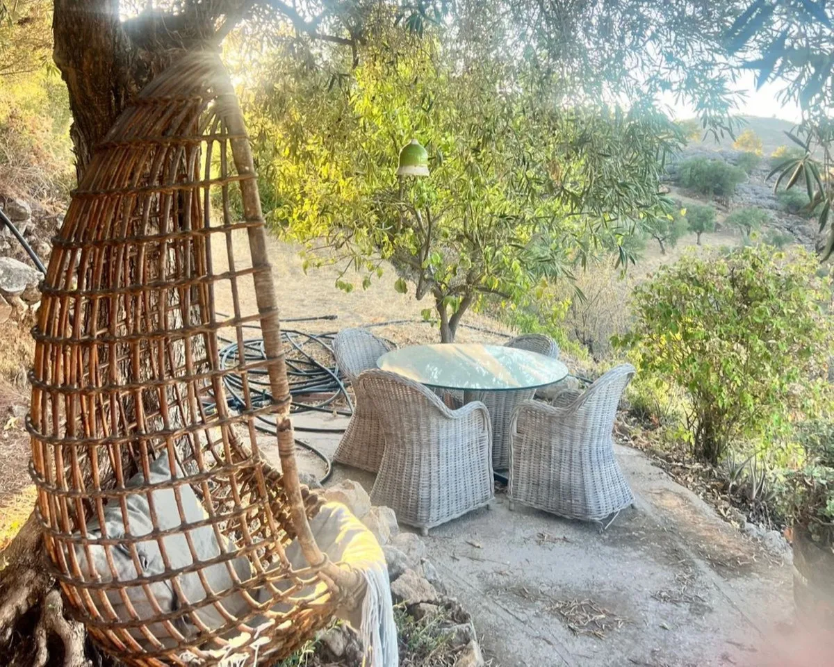 d72775c4-2ad5-42be-b88a-0c16aa766d7a