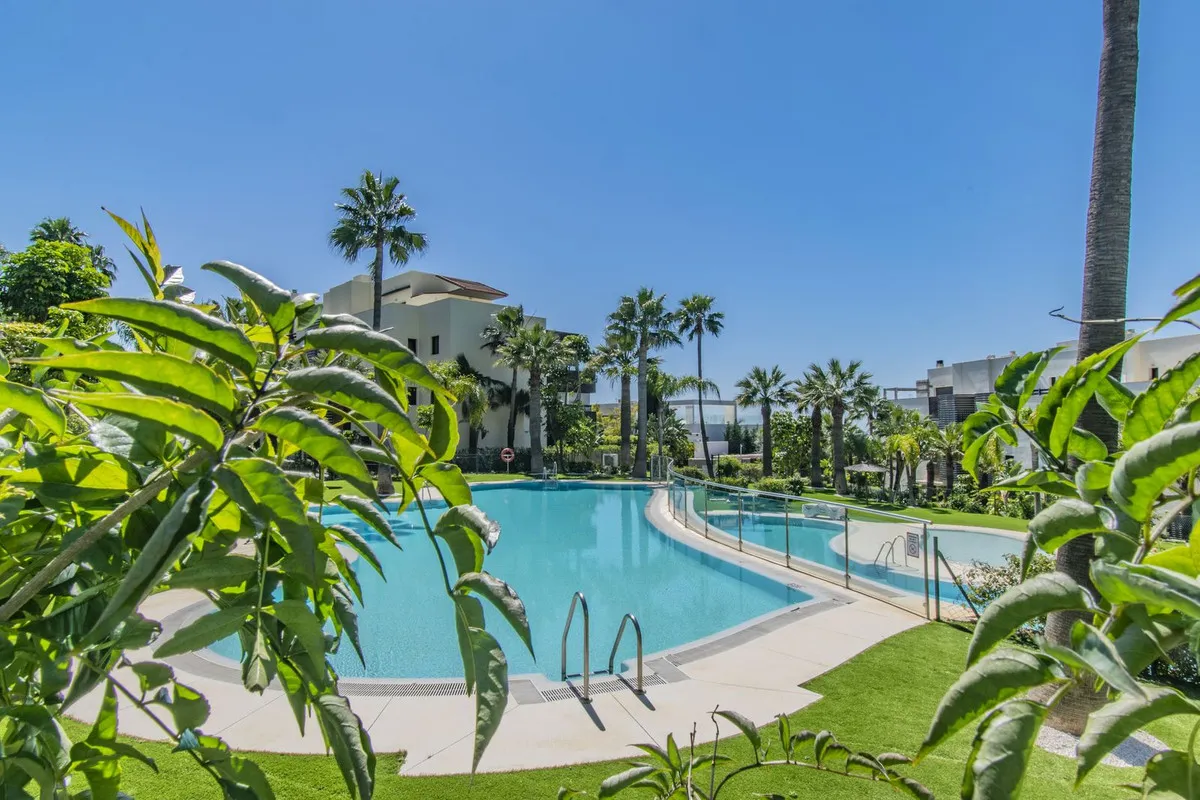 8e9565dc-6c50-4b86-bd0e-04a72c0eec0a