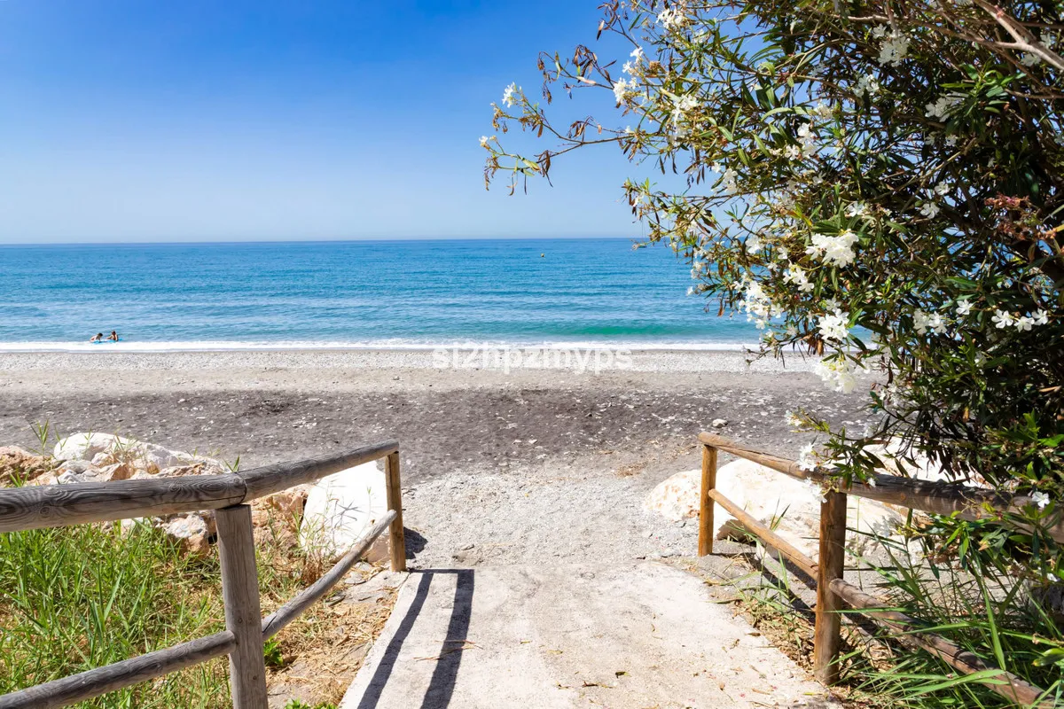 04498277-0380-4245-8b7c-dfcd9a3645e4