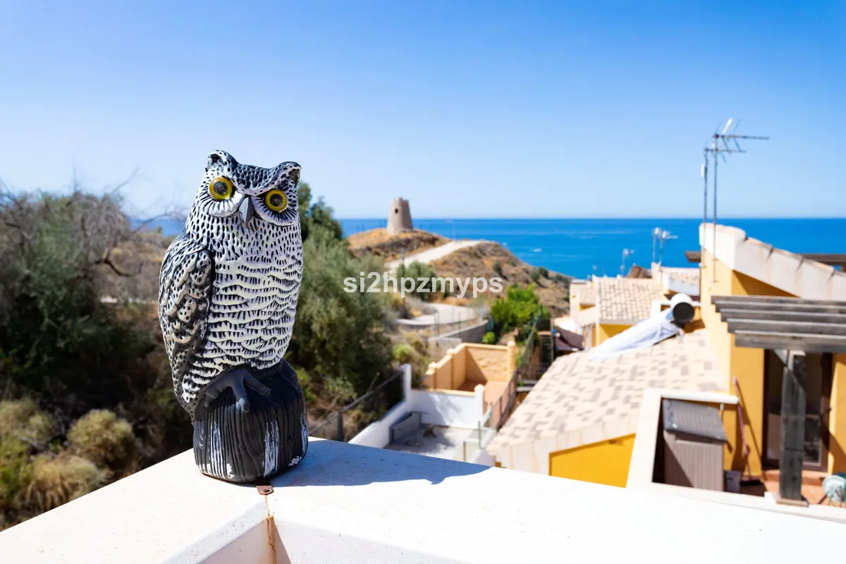 799eab46-e7e3-474b-91a5-8186af32b293