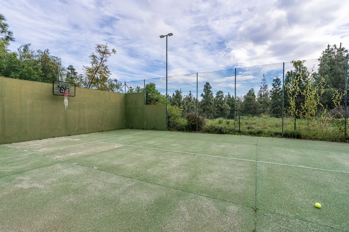 f8bdce80-c9d8-47ea-a3b7-41244332cf2e